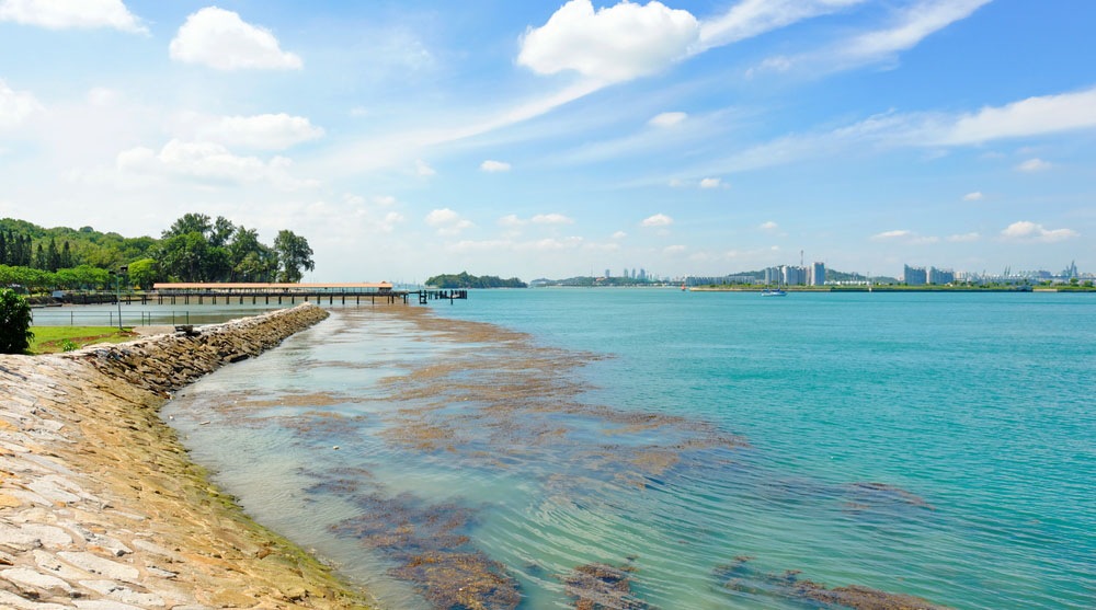 15-fun-romantic-date-ideas-in-singapore-2025-guide-sugarbook